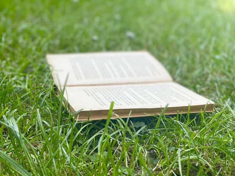 Leveraging Community Partnerships for Enhanced Learning Opportunities