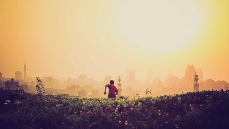 Is There A Direct Link For 11Xplay Reddy Login App Download?