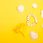 Reddybook Review: How This Platform Transforms Learning with 11xplay Integration